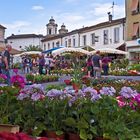 Il n’y a pas que des fleurs aux floralies de Nérac