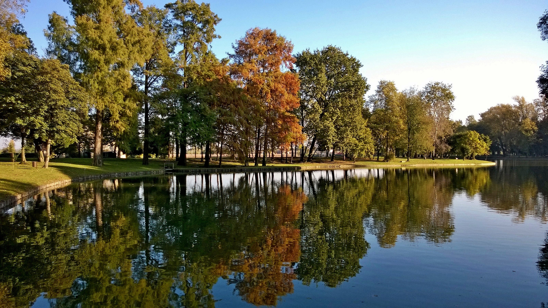 il palcoscenico dell'autunno alza il sipario , lo spettacolo inizia