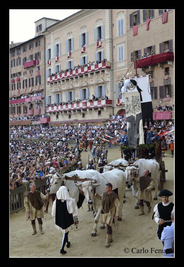 Il Palio