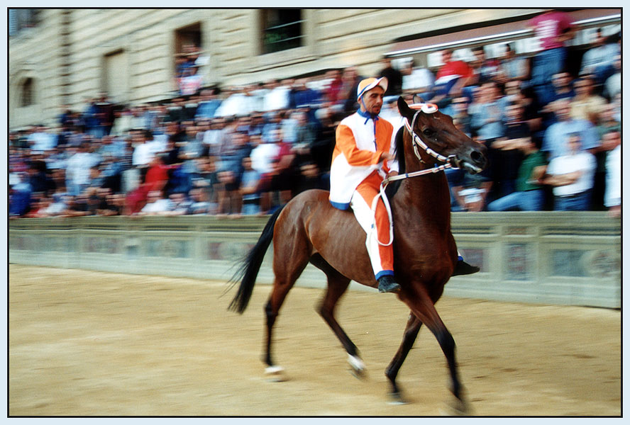 - Il Palio di Siena -