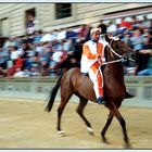 - Il Palio di Siena -