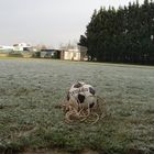 il pallone..nel sacco