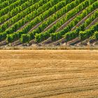 Il pane e il vino