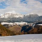 il panettone