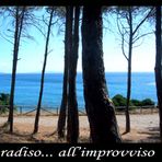 Il paradiso... all'improvviso