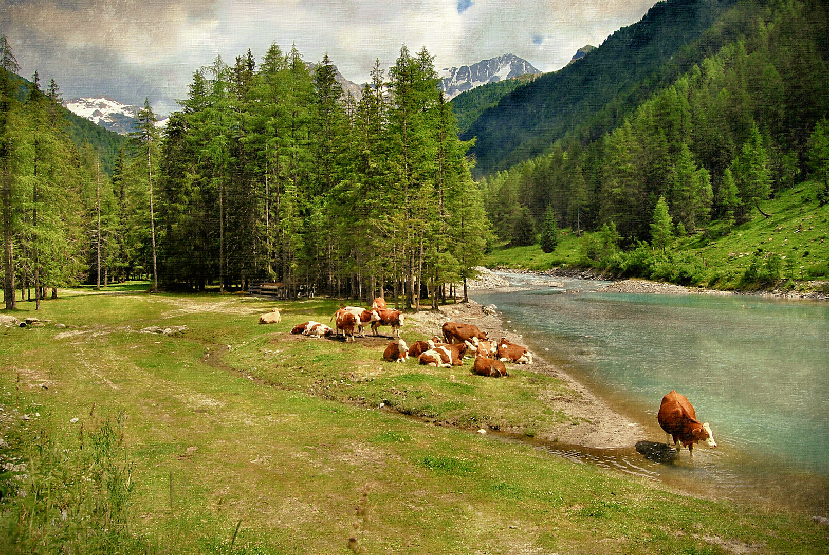 Il paradiso può attendere...