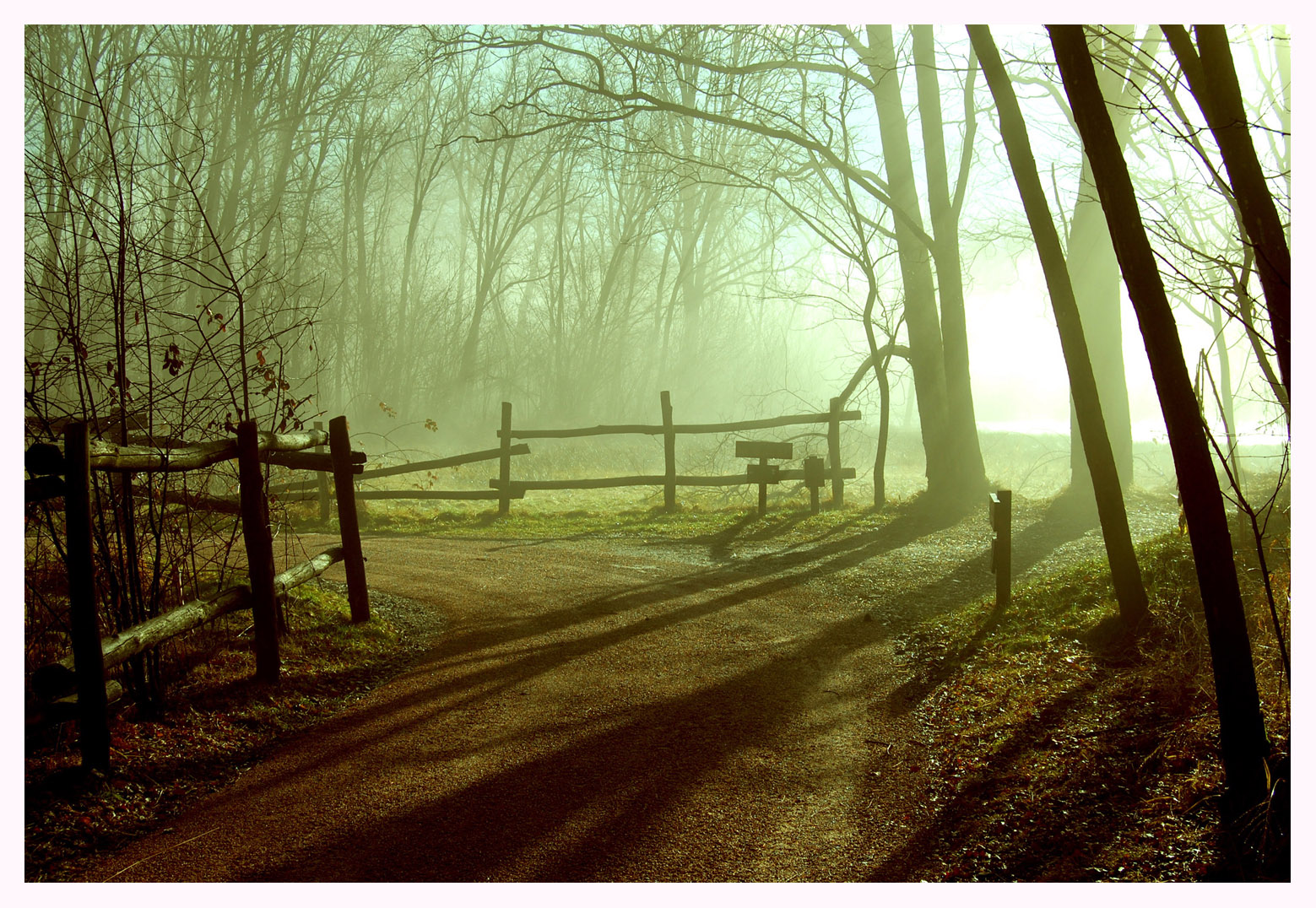 il parco dei lagoni