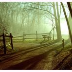 il parco dei lagoni