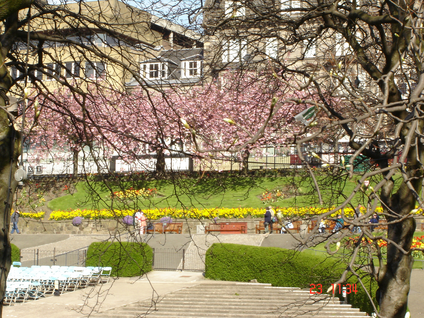 Il parco dei mandorli di Edimburgo