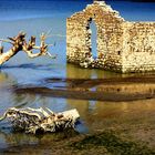 il passato riaffiora nel lago del liscione in secca... (CB)