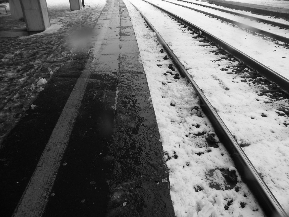 IL PASSO SILENZIOSO DELLA NEVE