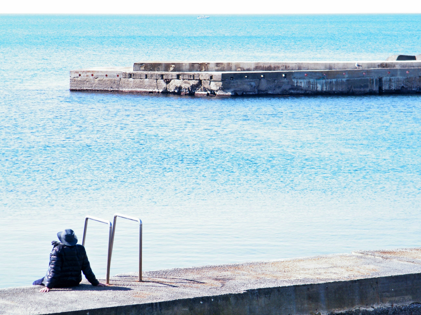 il pensatore solitario