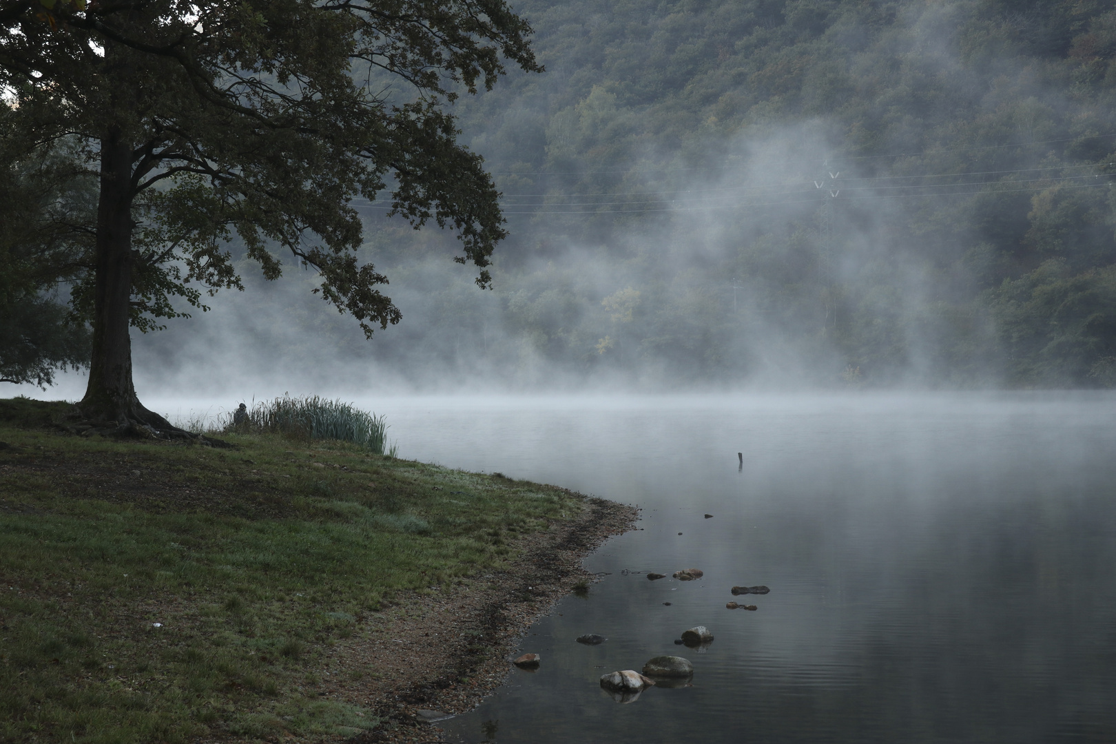 il pescatore di brume