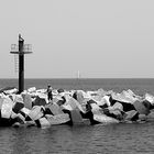 Il pescatore di Hammamet