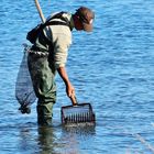 Il pescatore di vongole