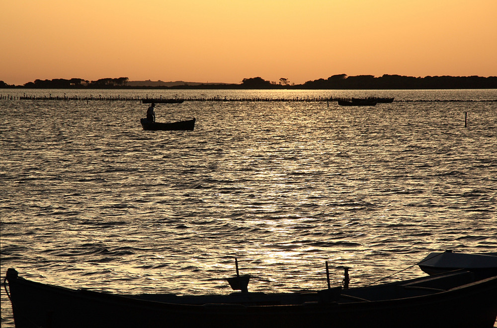 Il pescatore e il suo mare