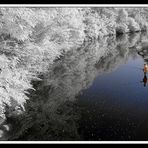 il pescatore-infrared