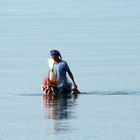 il Pescatore...Malacca