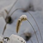 Il peso dell'inverno