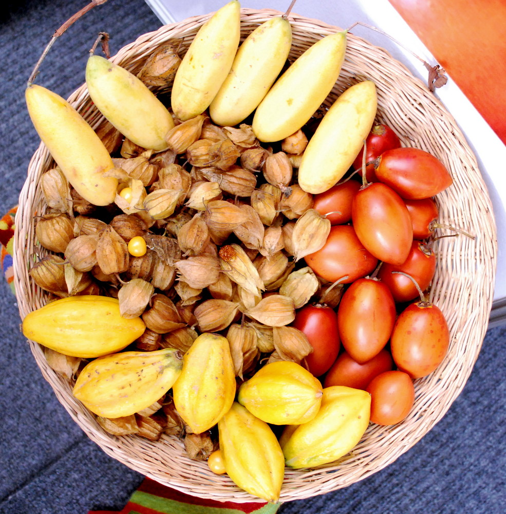 Il piatto e' servito, buon appetito