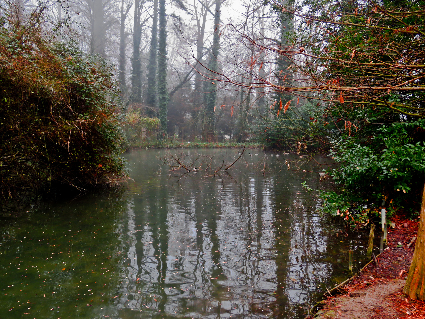 Il piccolo lago incantato