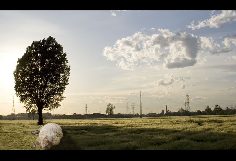 il pisolino ambientale