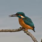 IL più fotografato della piana