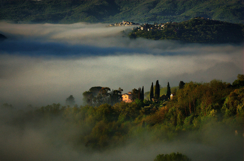 Il piumone del fiume