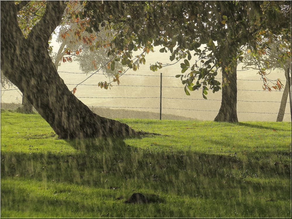 ..Il pleut, sur l'arbre penché...