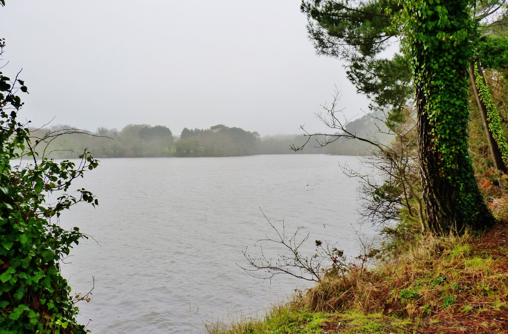 Il pleut sur l'étang du Ter , commune de Ploemeur (Morbihan )