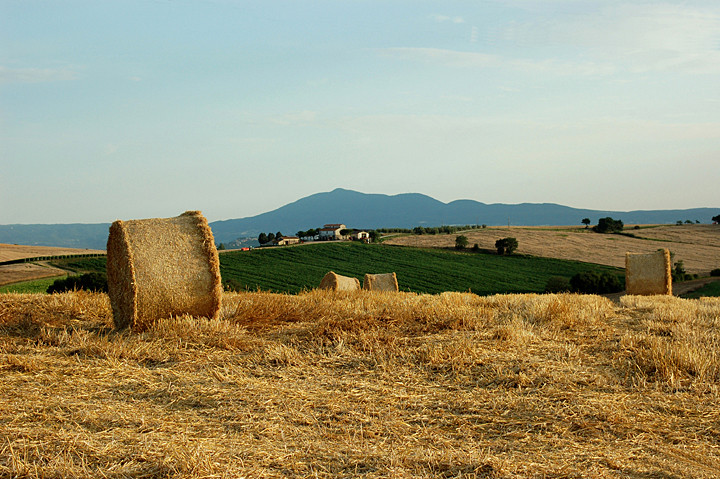 Il podere di Claudio Cianella 