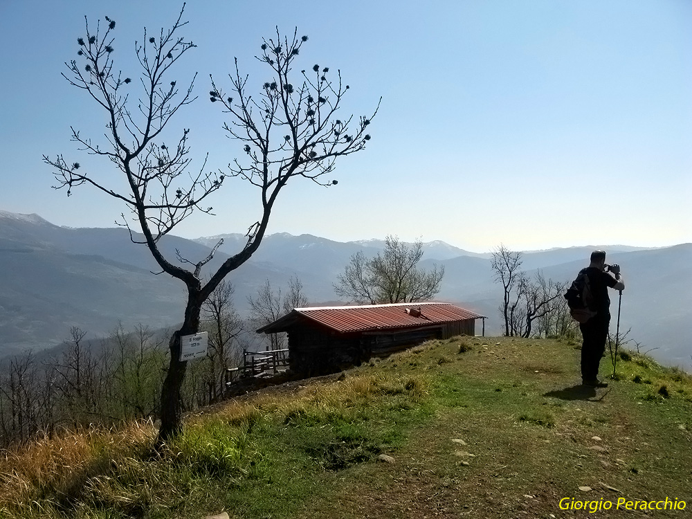 Il Poggio