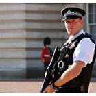 il poliziotto inglese