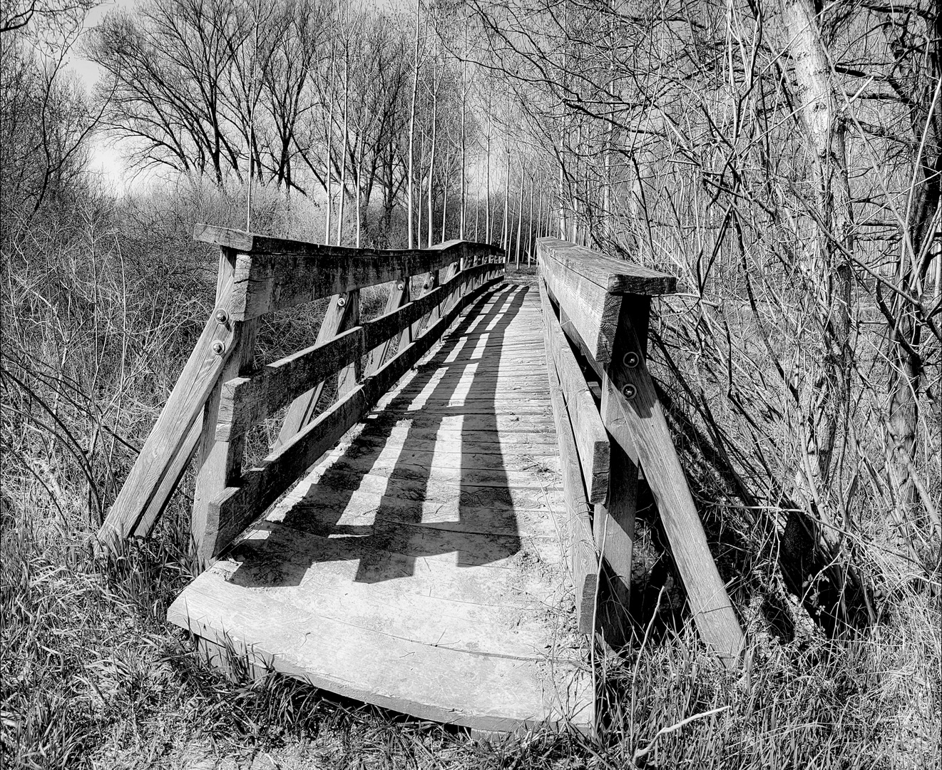 Il ponte abbandonato 2