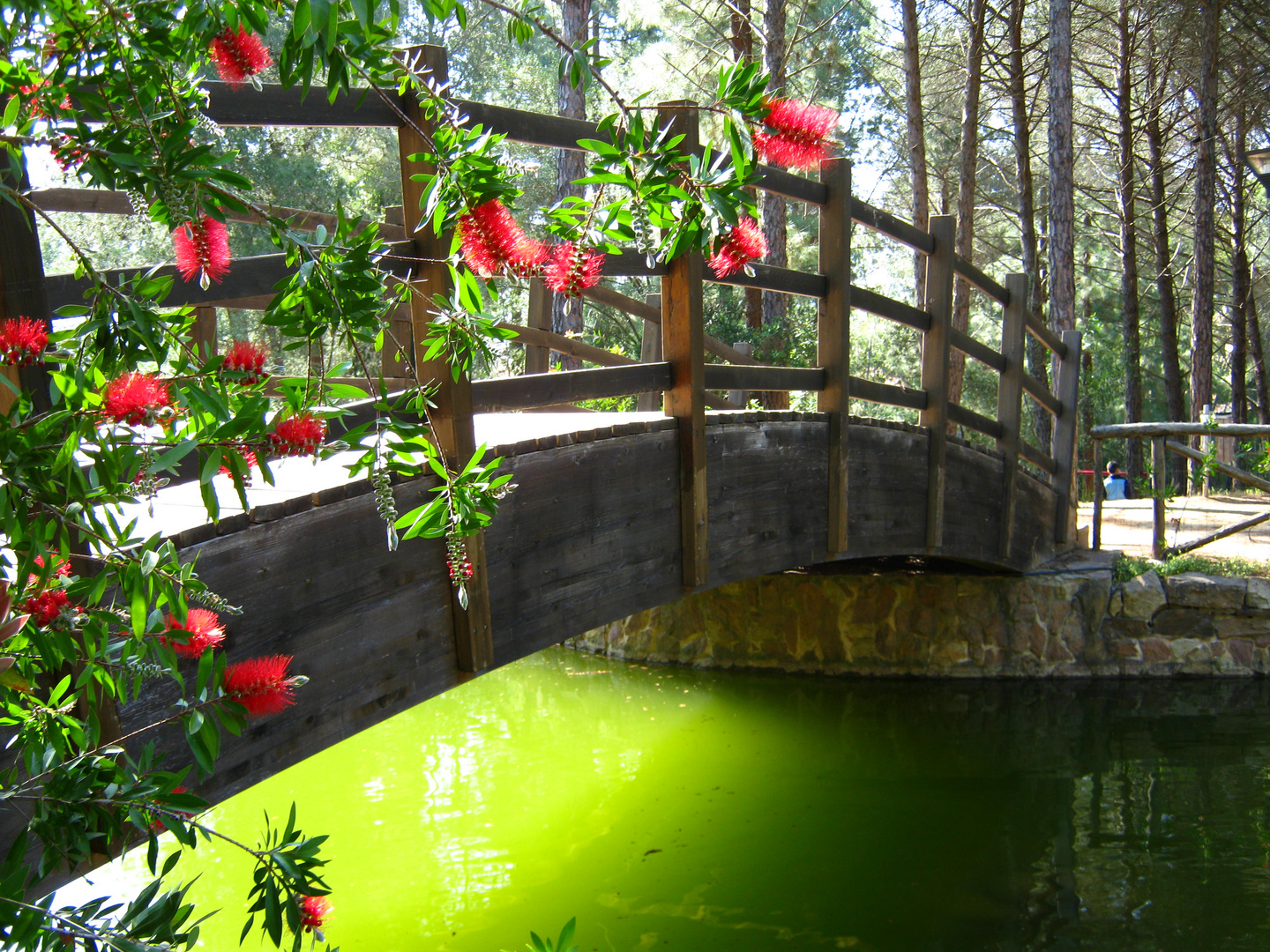 il ponte della pace...