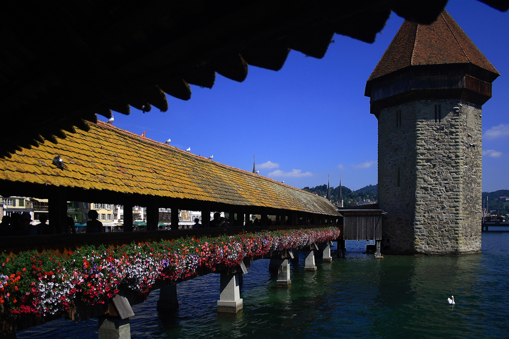 Il Ponte di Legno