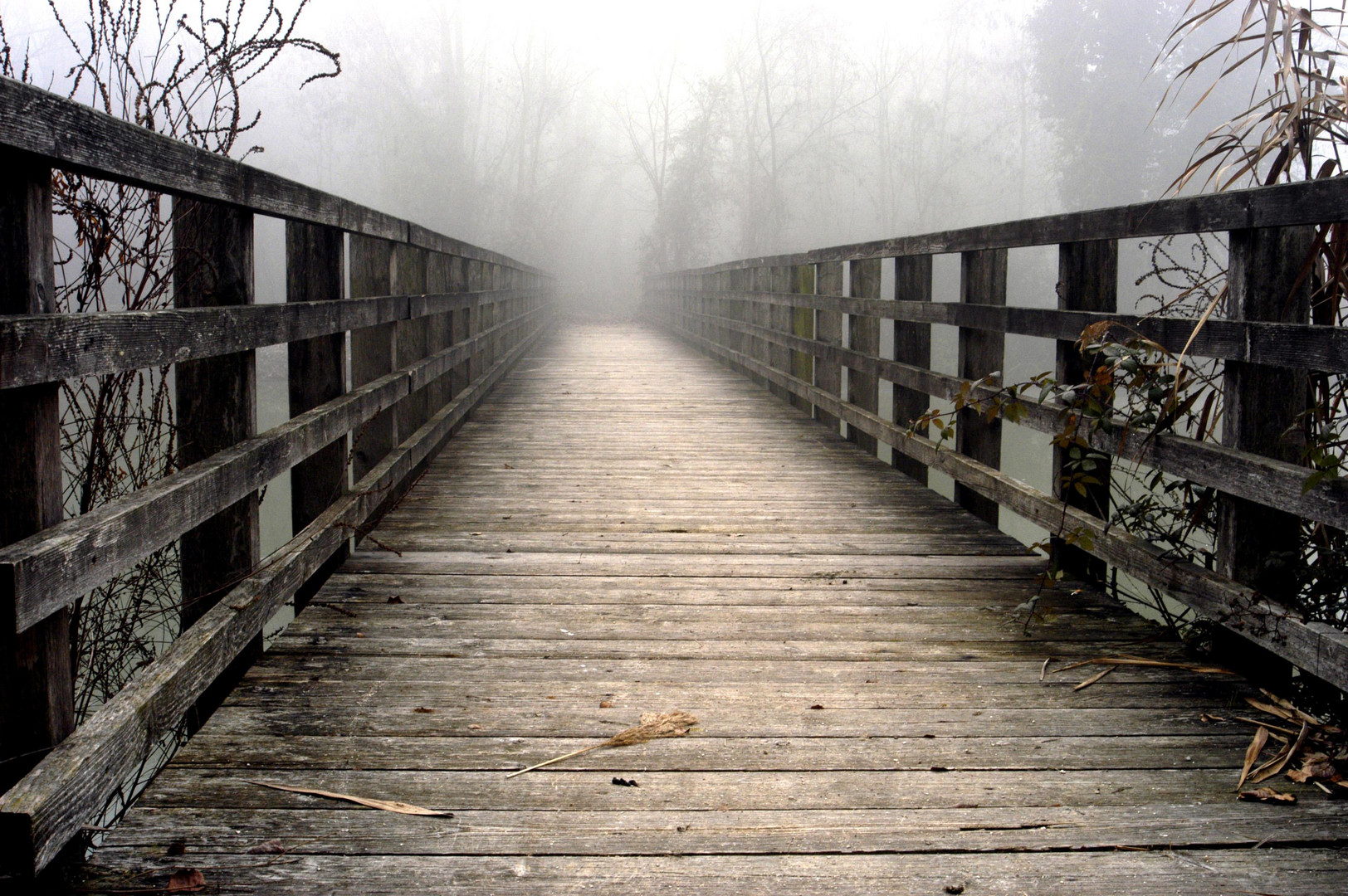 Il Ponte nella nebbia