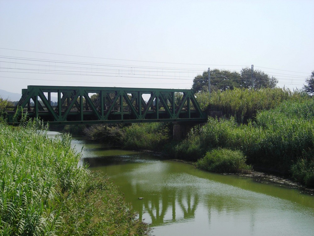 Il ponte verde