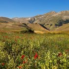 il porche visto dal pian perduto