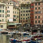 Il porto di Camogli