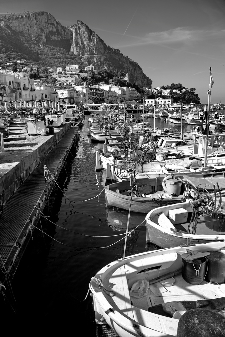 Il porto di Capri.