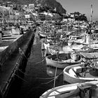 Il porto di Capri.