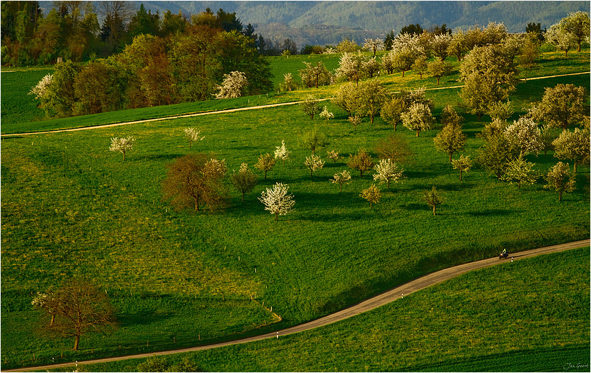 il postino