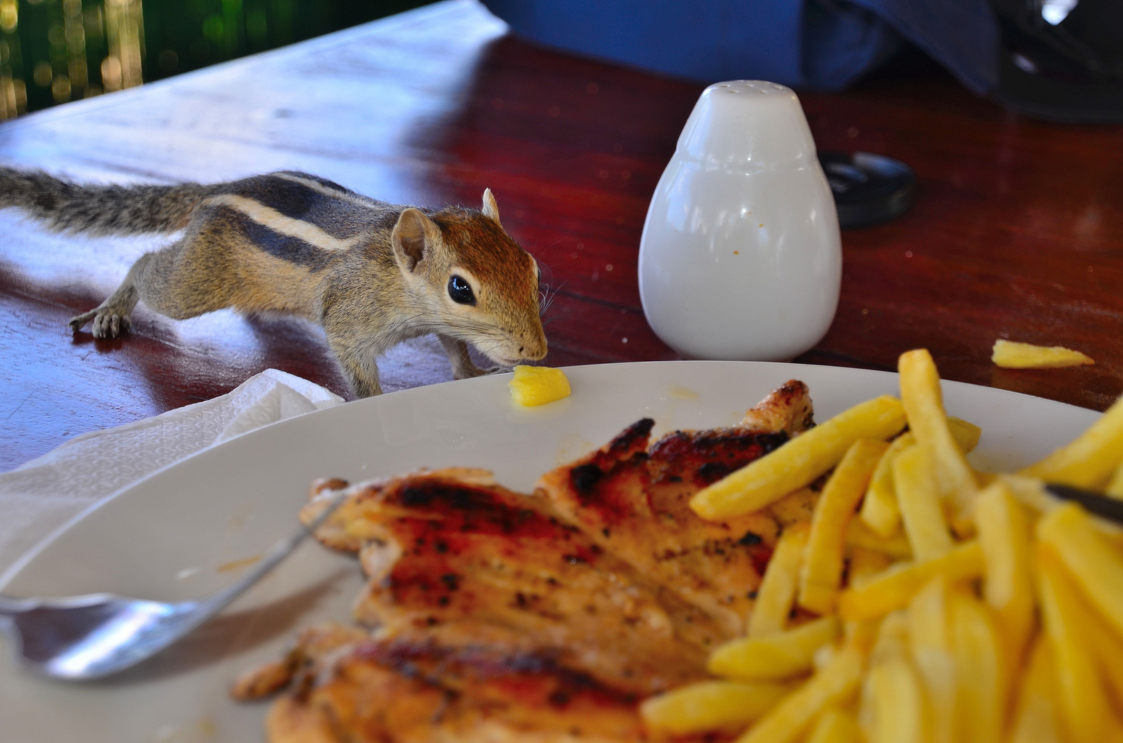 Il pranzo