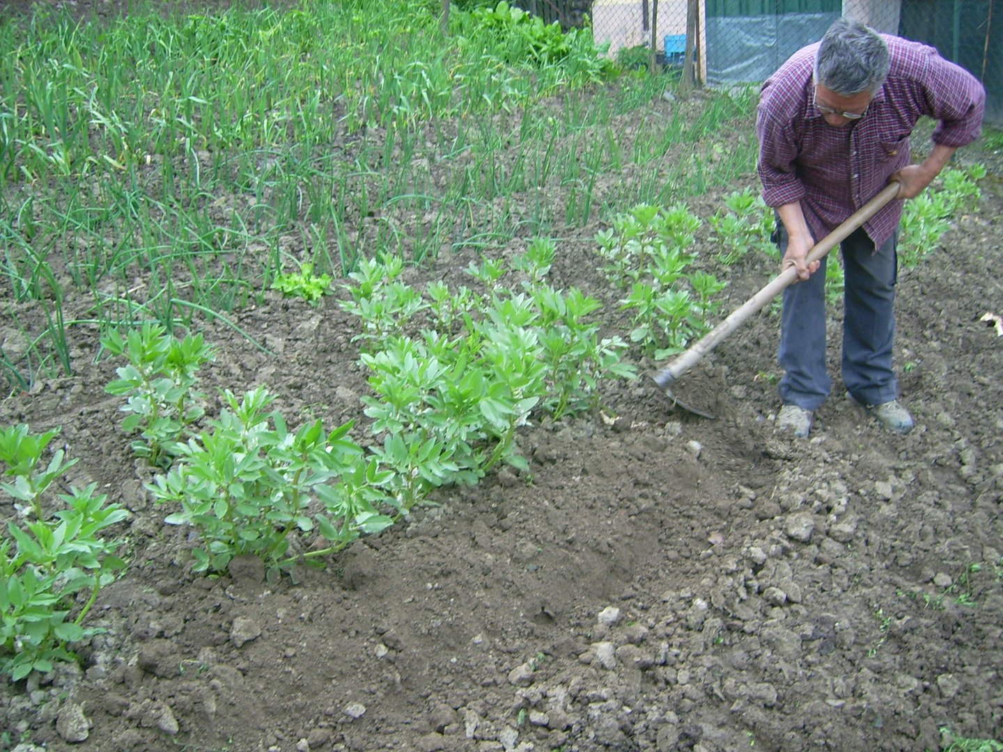 Il prezioso lavoro