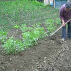 Il prezioso lavoro