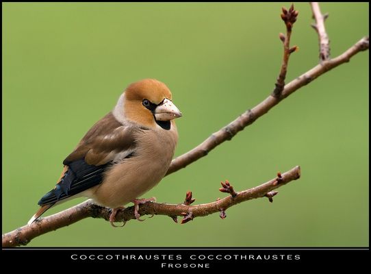 Il primo scatto del 2010