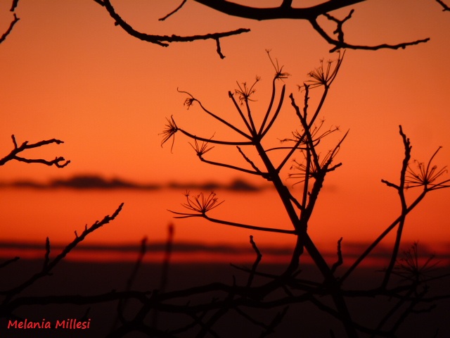 Il primo tramonto del 2012