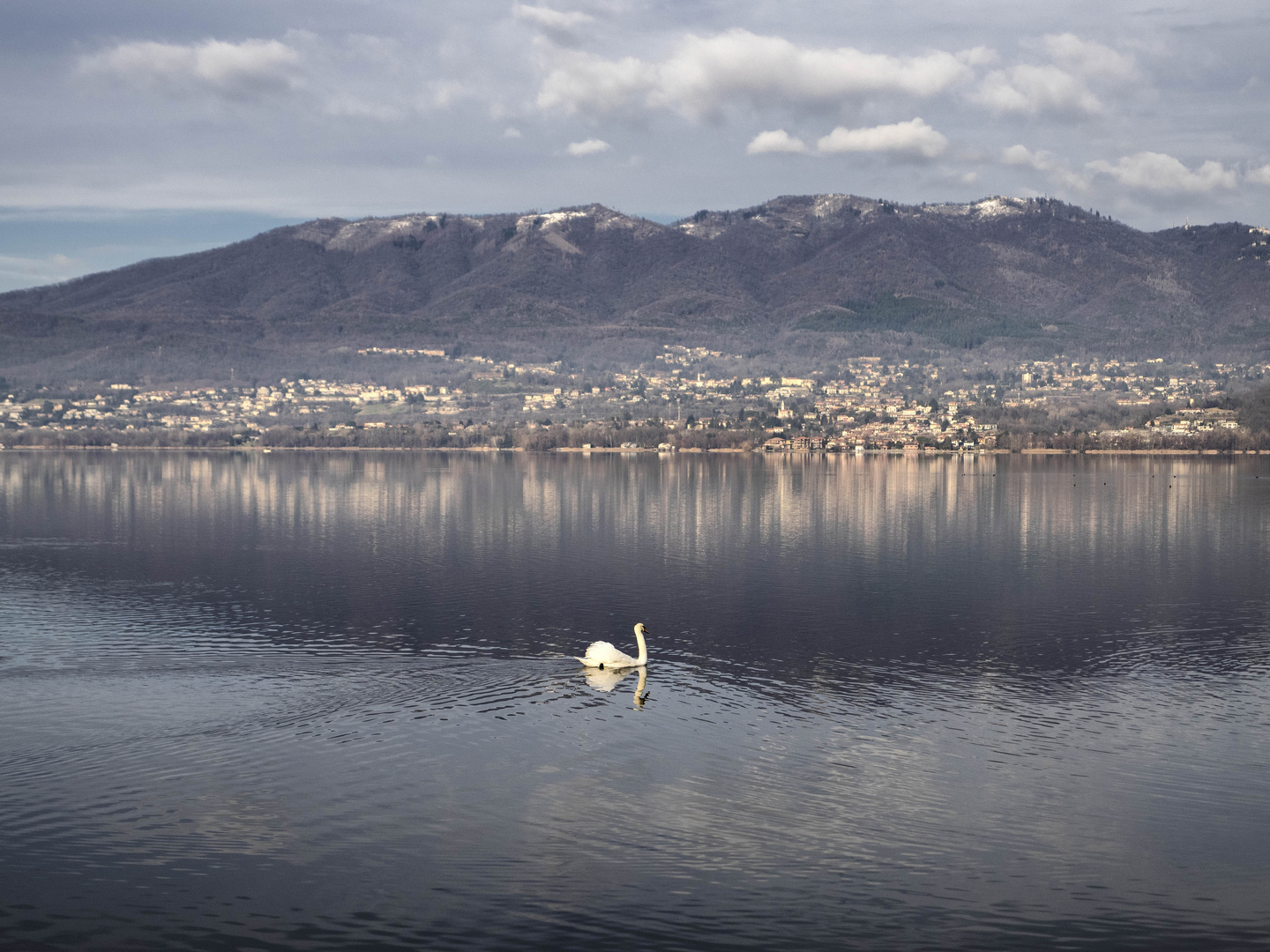 Il principe del lago