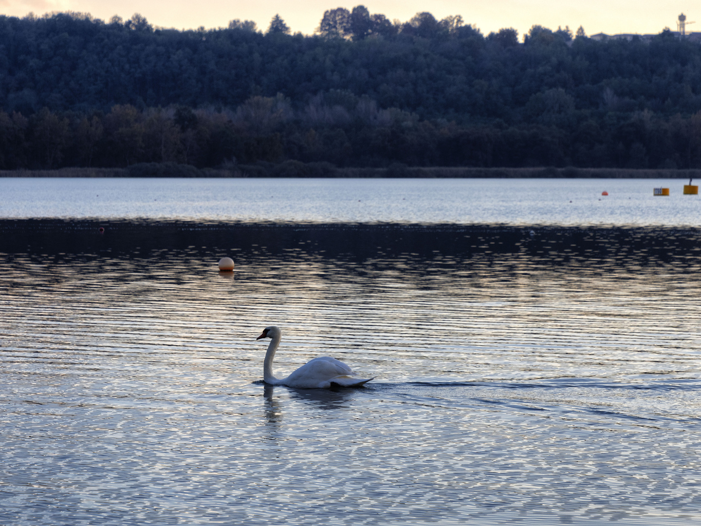 Il principe del lago